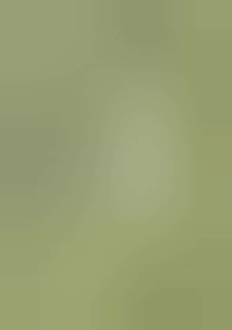 Light Green Solid Silk Kurta Set For Men - Indya