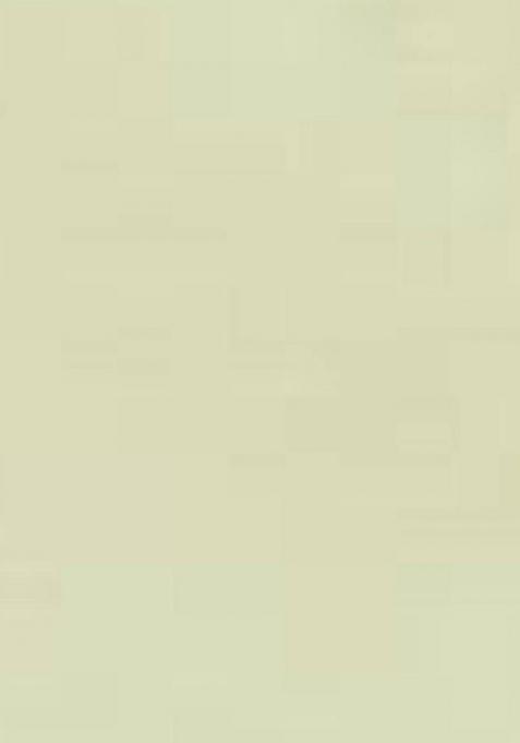 Light Green Solid Silk Kurta Set For Men