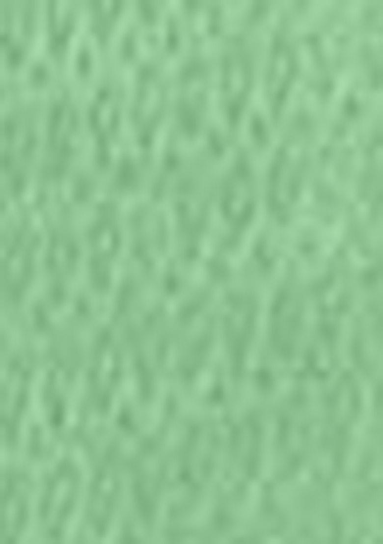 C.Green Solid Cotton Kurta Set For Men