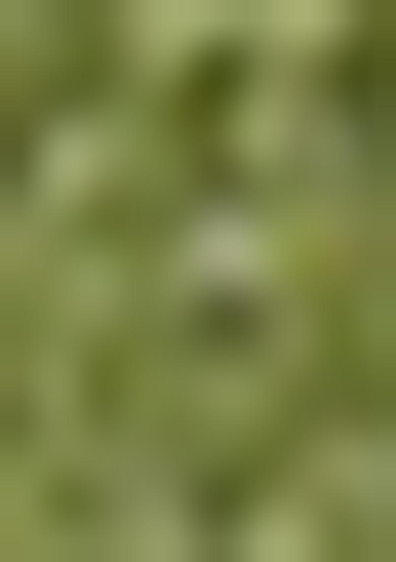 Green Amboj Work Silk Kurta Set For Men