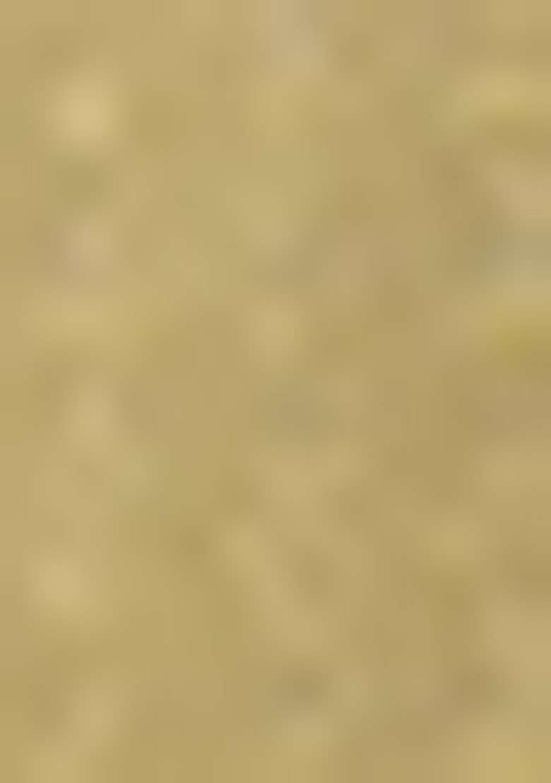 Olive Gold Textured Viscose Kurta For Men - Indya