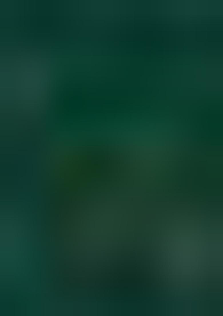 Bottle Green Slub Cotton Silver Weaving Mens Kurta Pyjama For Men