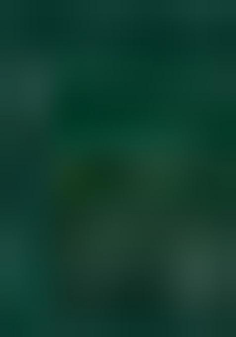 Bottle Green Slub Cotton Silver Weaving Mens Kurta Pyjama For Men