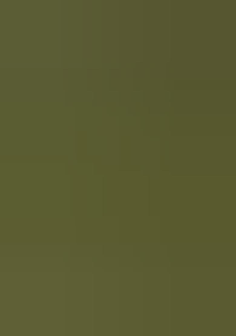 Green Cotton Embroidered Kurta Pyjama For Men