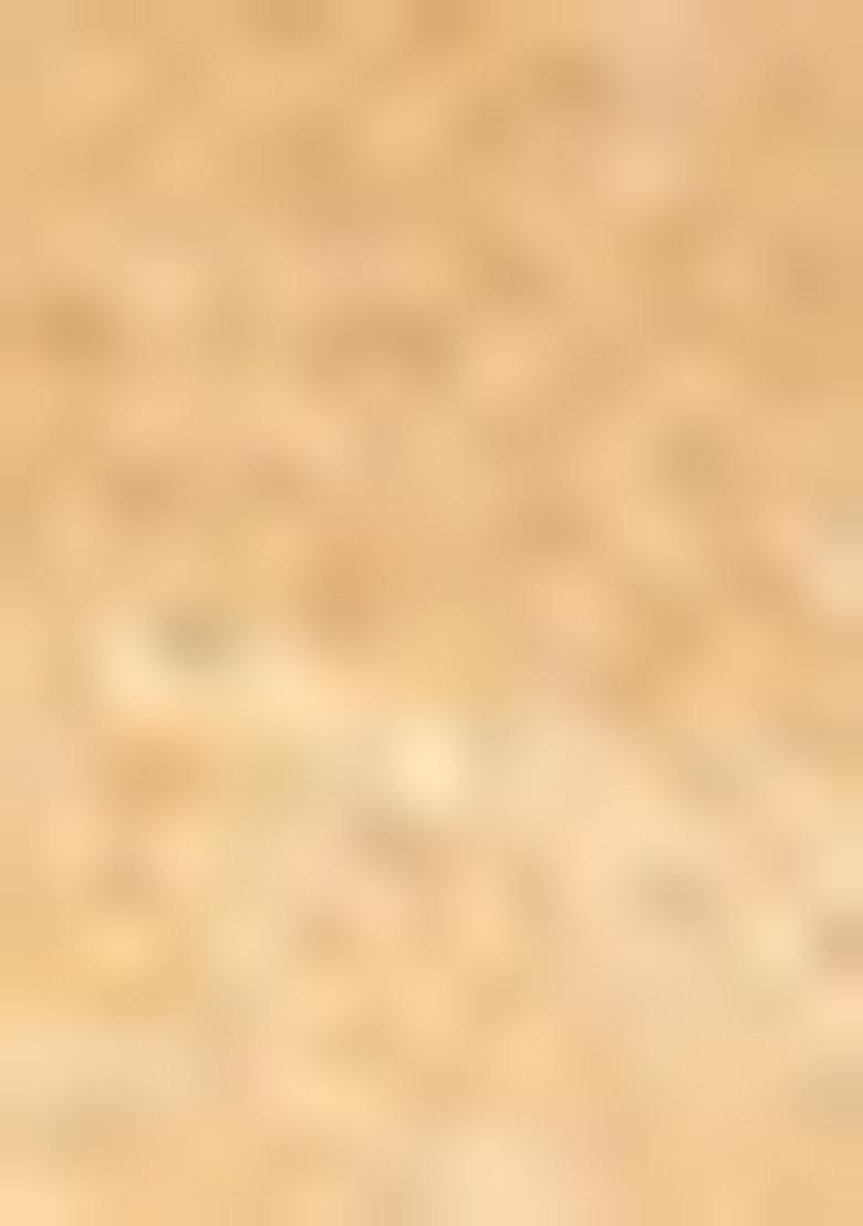 Beige Solid Banarasi Silk Churidar For Men