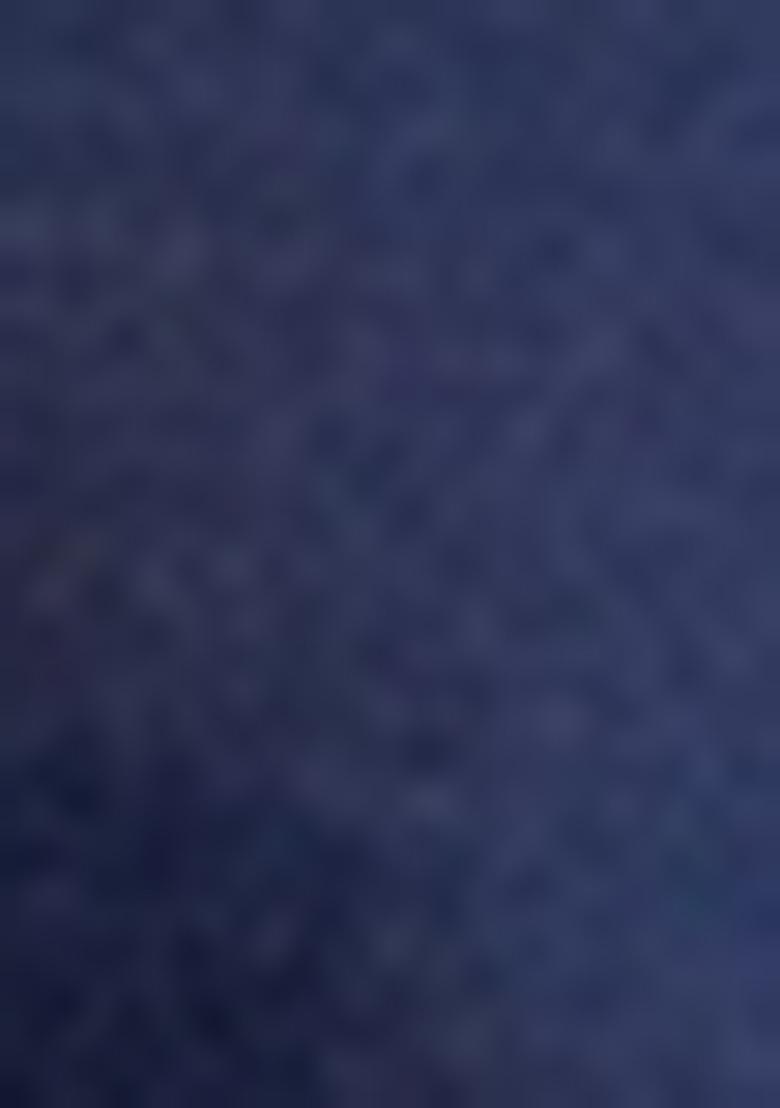 Navy Blue Solid Banarasi Silk Churidar For Men