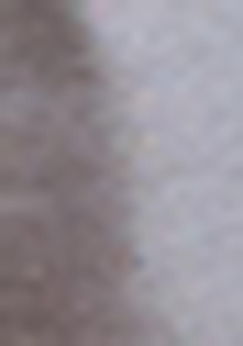 Grey Solid Banarasi Silk Kurta Churidar Set For Men