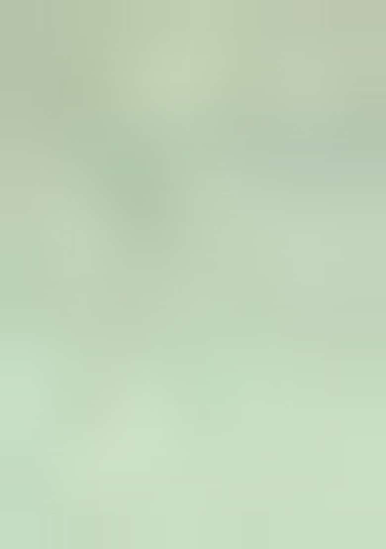 Light Green Embroidered Silk Blend Kurta With Pyjama For Men - Indya