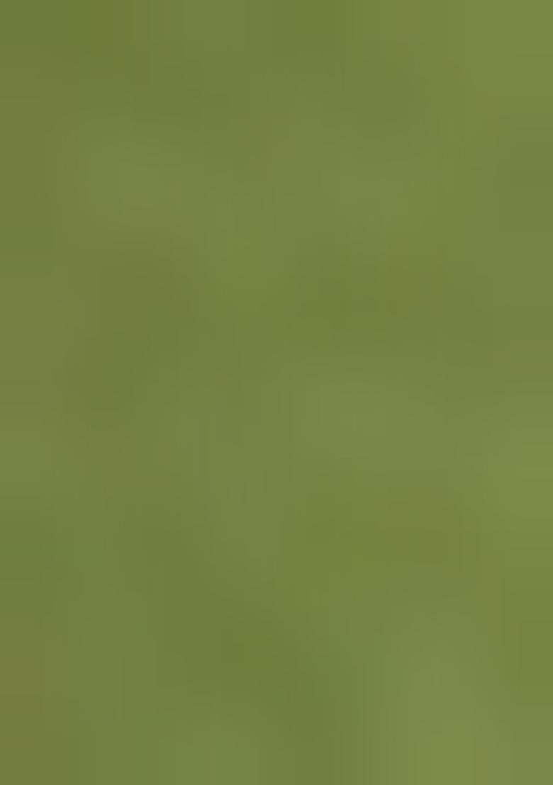 Green Solid Dupion Kurta Churidar Set For Men