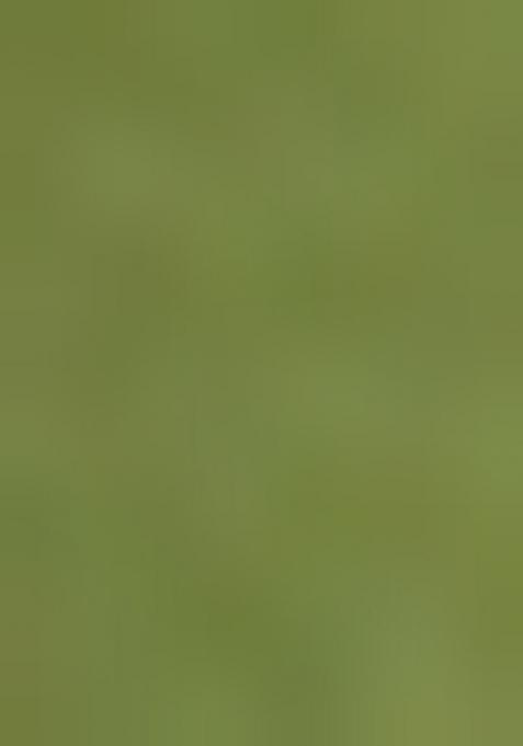 Green Solid Dupion Kurta Churidar Set For Men