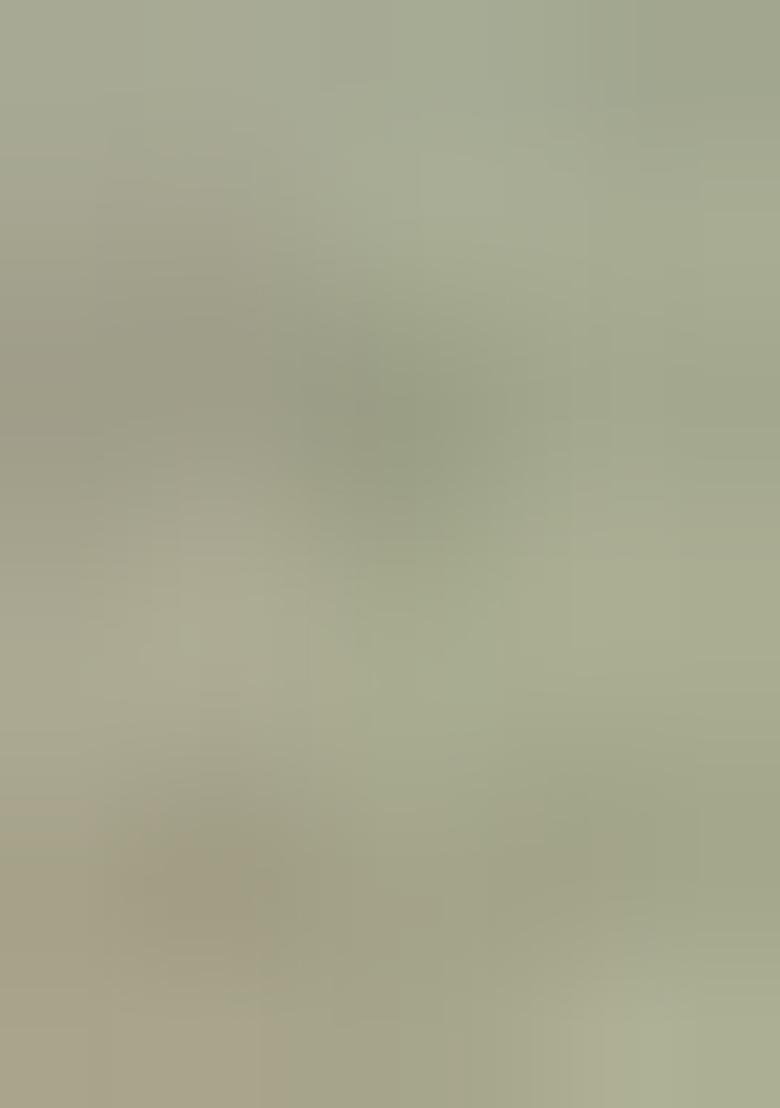 Mehendi Plain Cotton Blend Kurta For Men - Indya