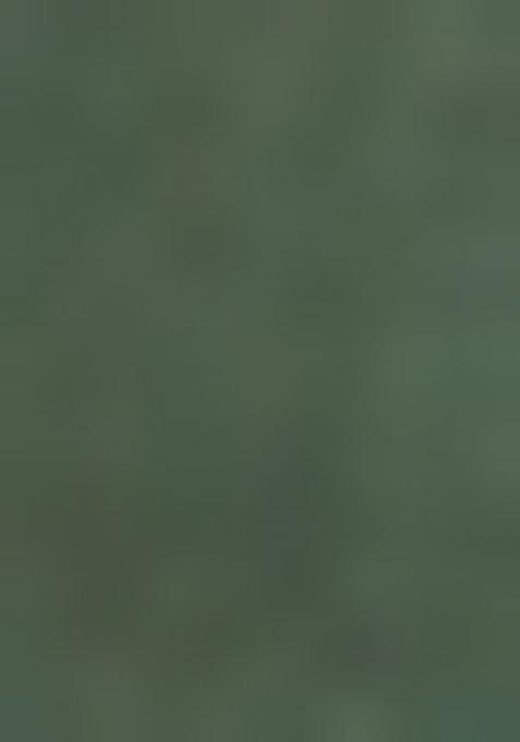 Olive Green Solid Cotton Blend Kurta Set For Men