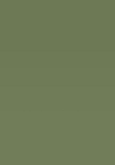 Olive Embroidered Viscose Silk Kurta Pajama Set For Men