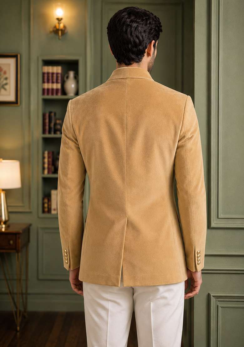 Chiku Solid Velvet Jodhpuri For Men - Indya