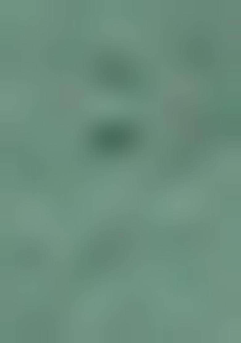 Green Solid Cotton Kurta For Men