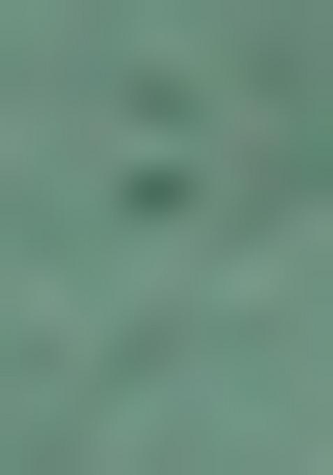 Green Solid Cotton Kurta For Men