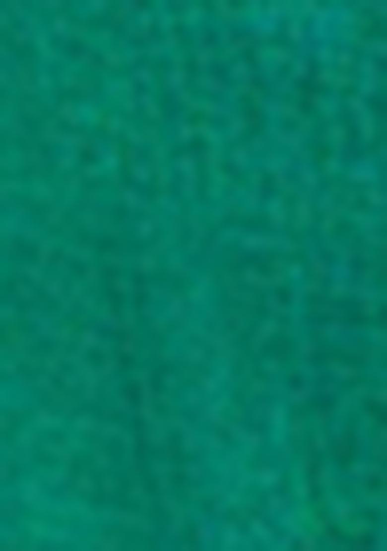 Green Embroidered Silk Kurta Set - Indya