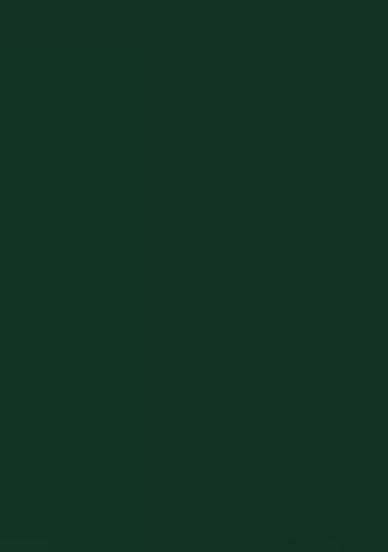 Green Zari Embroidered Georgette Anarkali Set