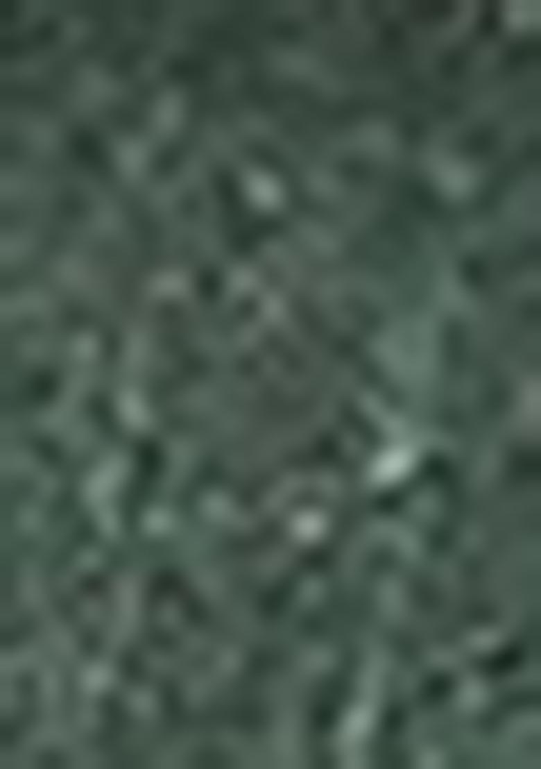 Green Solid Pure Cotton Kurta Set