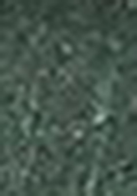 Green Solid Pure Cotton Kurta Set