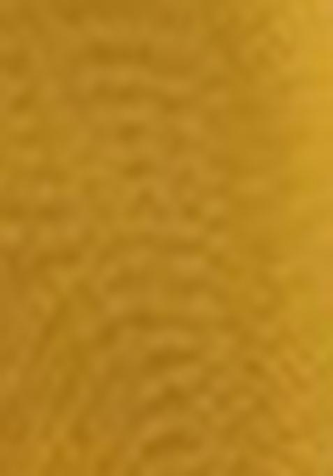 Yellow Embroidered Net Anarkali Kurta Set