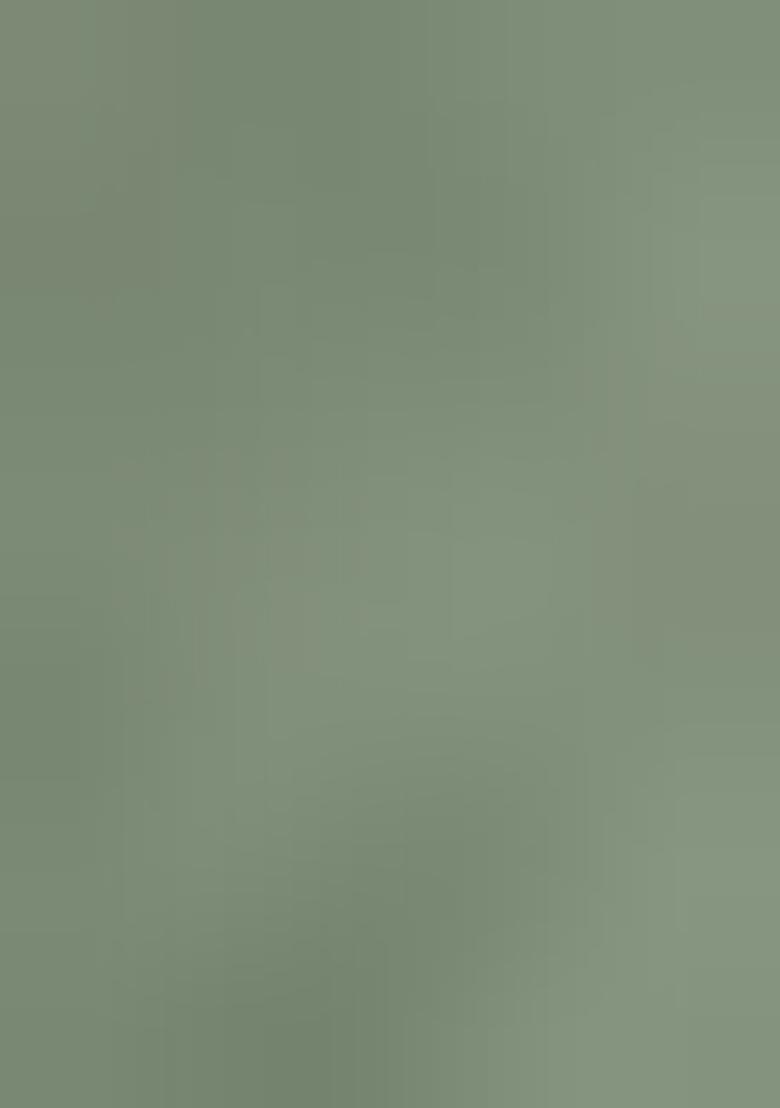 Light Green Embroidered Net Anarkali Kurta Set