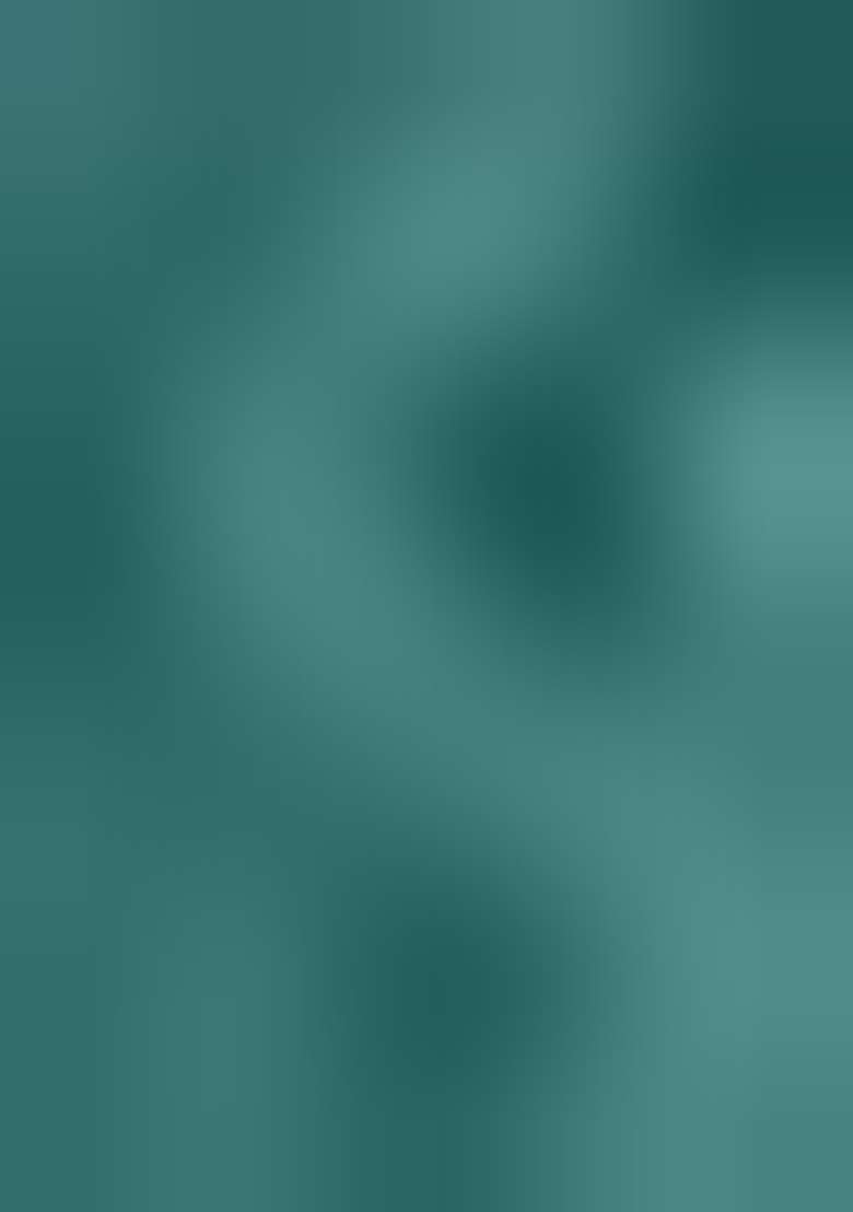Sea Green Embroidered Organza Straight Kurta Set - Indya