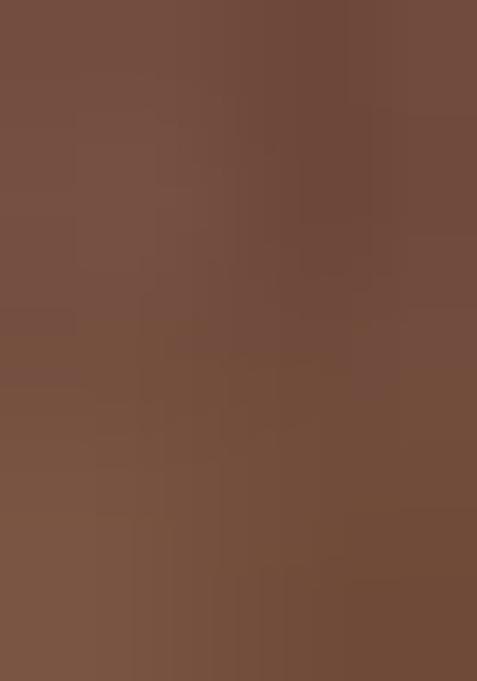 Brown Embroidered Pure Net Anarkali Kurta Set