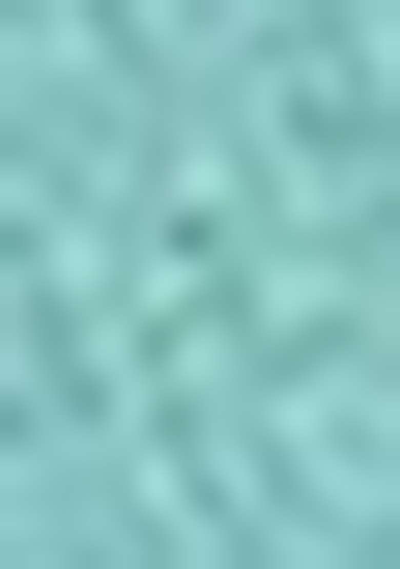 Sea Green Zari Work Poly Straight Kurta Set - Indya