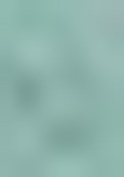 Sea Green Embellished Organza Kurta Set