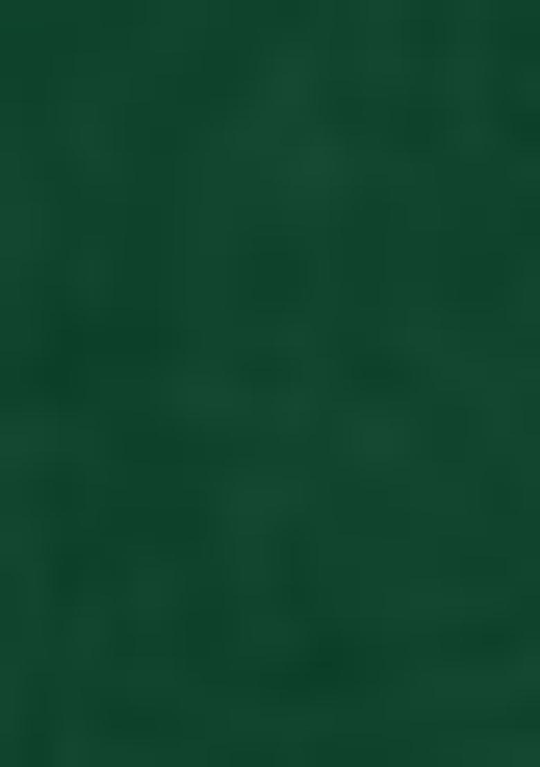 Green Embroidered Poly Blend Kurta Set - Indya