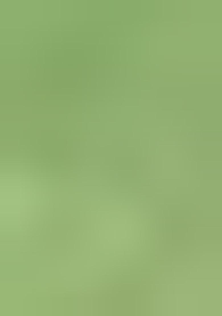 Green Embellished Poly Blend Kurta Set - Indya