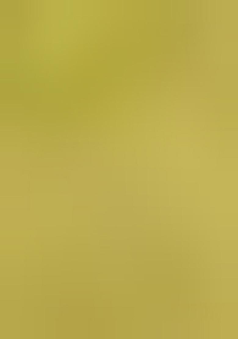 Pista Green Kanchipuram Silk Zari Woven Lehenga Set