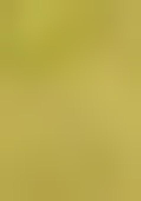 Pista Green Kanchipuram Silk Zari Woven Lehenga Set