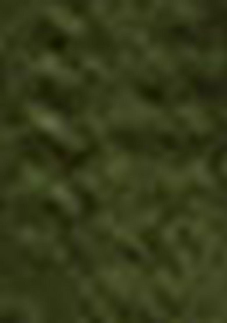 Mehendi Sequin Embroidered Georgette Lehenga Set