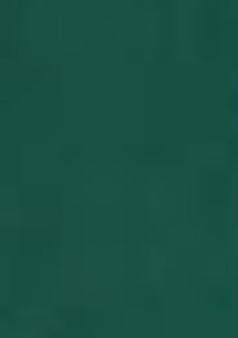 Green Printed Crepe Lehenga Set