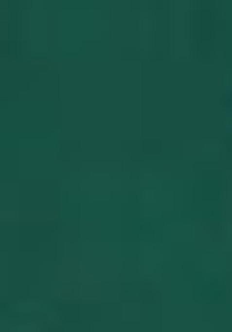 Green Printed Crepe Lehenga Set