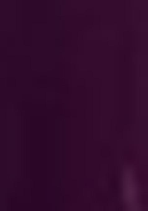 Wine Georgette Sequin Embroidered Lehenga Set