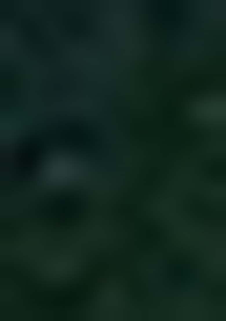 Dark Green Thread Embroidered Georgette Lehenga Set