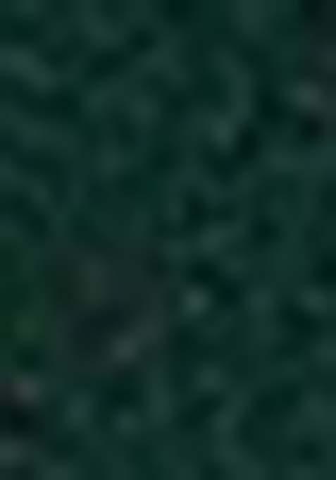 Dark Green Thread Embroidered Georgette Lehenga Set