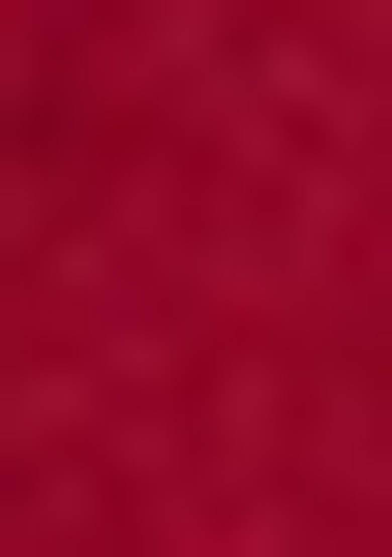 Red Kalamkari Print Tussar Silk Lehenga Set