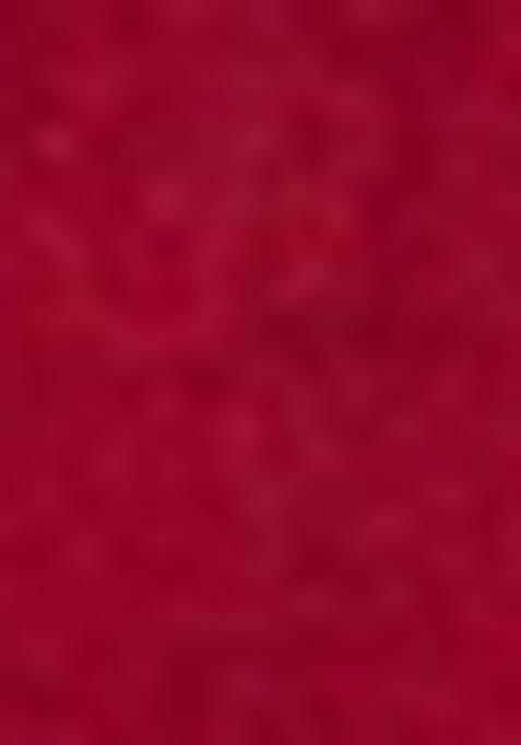 Red Kalamkari Print Tussar Silk Lehenga Set