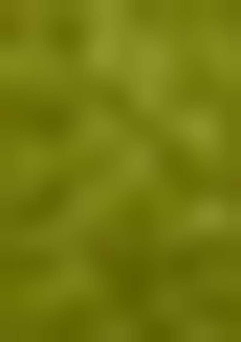 Green Kalamkari Print Tussar Silk Lehenga Set