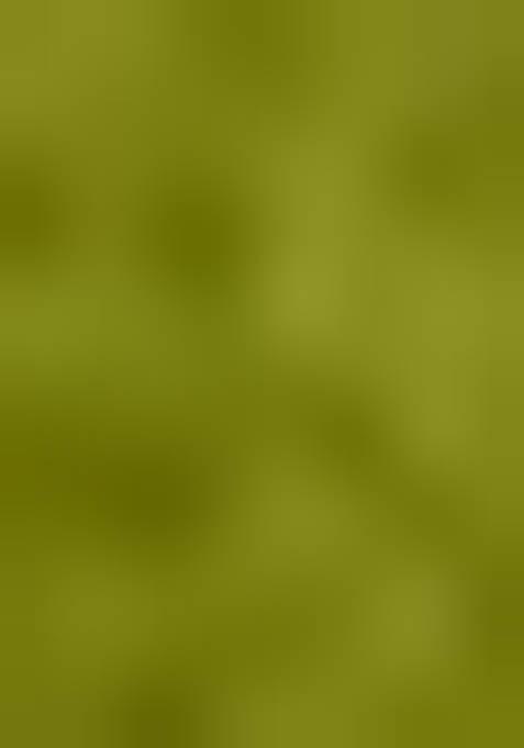 Green Kalamkari Print Tussar Silk Lehenga Set