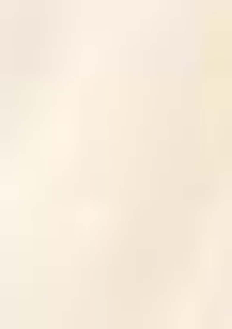 White Zari Weaving Kalamkari Print Lehenga Set - Indya