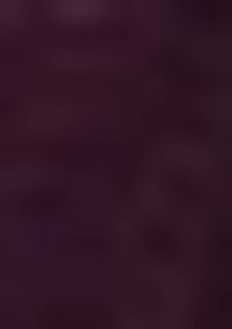 Wine Zari Sequin Embroidered Georgette Lehenga Set