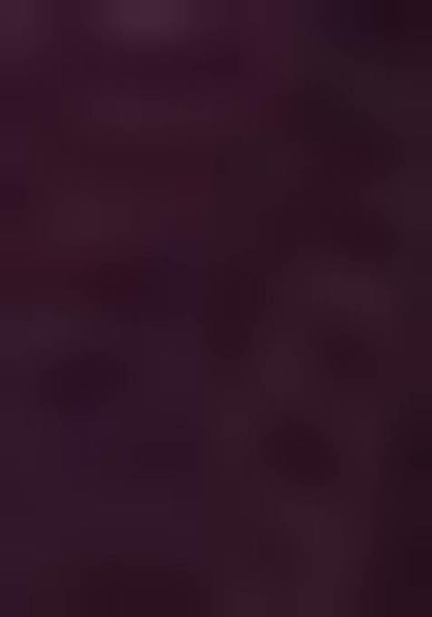 Wine Zari Sequin Embroidered Georgette Lehenga Set