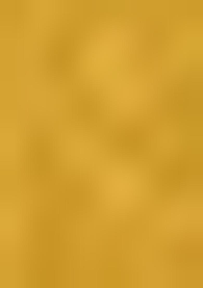 Yellow Kanchipuram Silk Zari Woven Lehenga Set