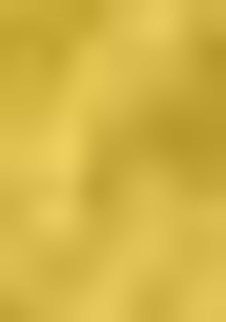 Mustard Zari Weaving Kalamkari Print Lehenga Set