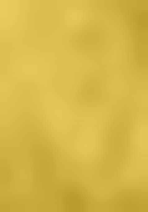 Mustard Zari Weaving Kalamkari Print Lehenga Set